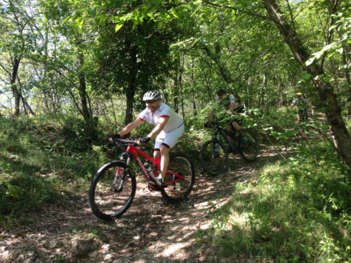 Florence hills singletracks