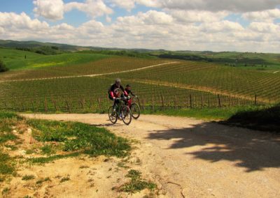 vineyards views on the mountain bike tour