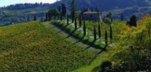 Full day experience on a mountain bike tour in Tuscany