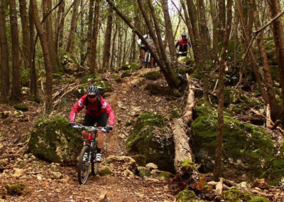 mountain bike enduro trails near Monteriggioni