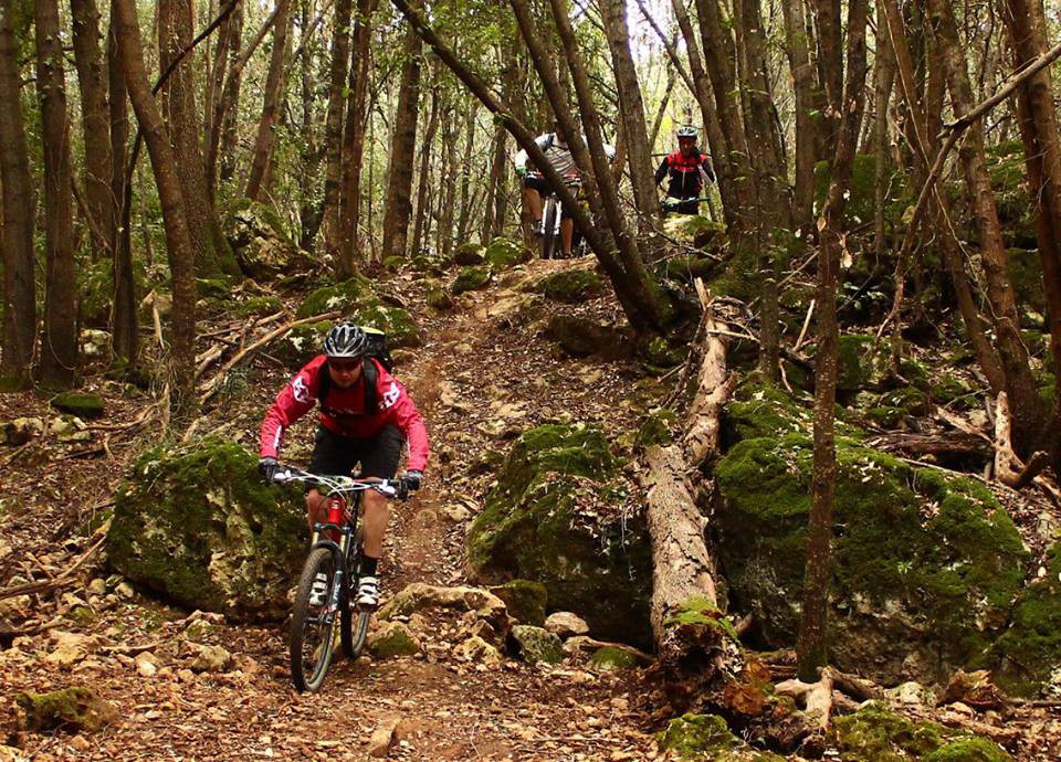 Singletracks on the Monteriggioni mountain bike tour 