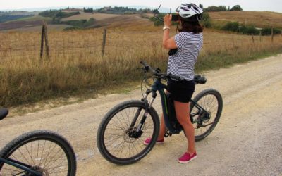 Mountain bike tour Pienza – Montepulciano