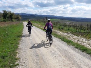 Monteriggioni mountain bike tour