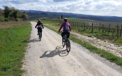 Monteriggioni mountain bike tour